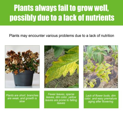 Universal Plant Nutrient Solution