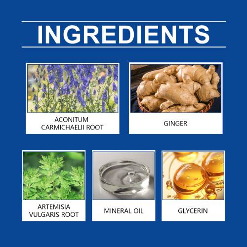 Men's Mugwort Body Patch