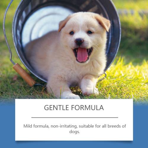 Calendula Honey Pet Fur Spray