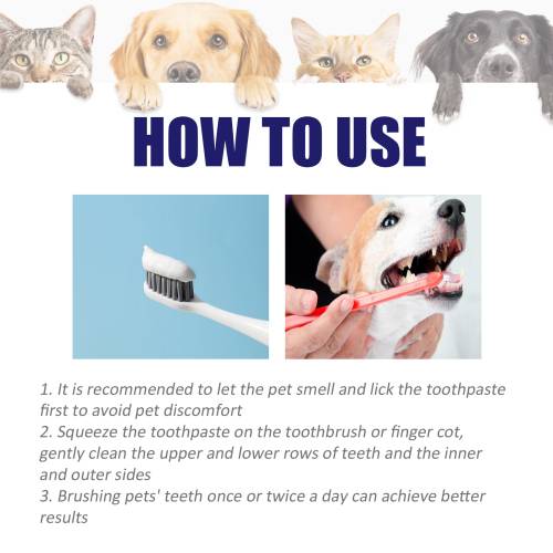 Pet V34 Toothpaste