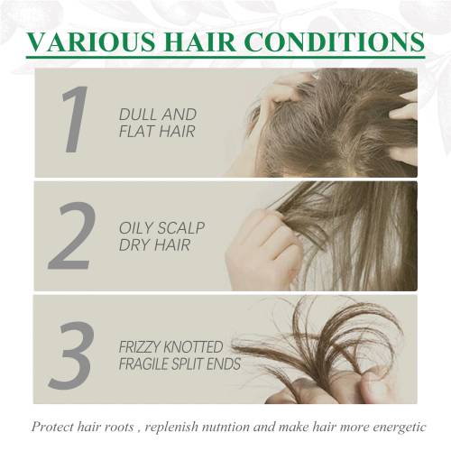 Coconut & Aloe Conditioner for Treated Hair