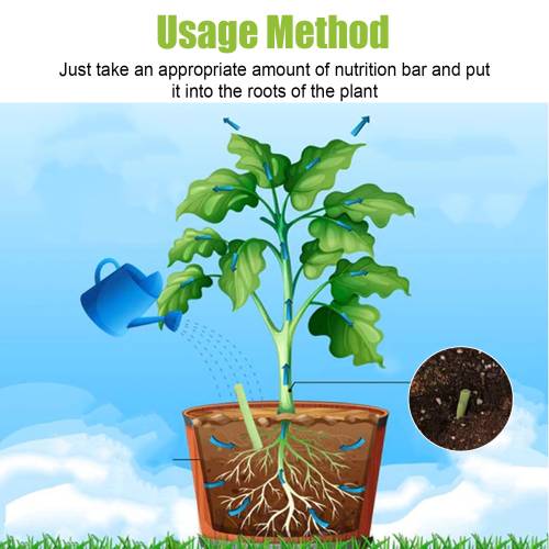 Plant Bloom Fertilizer Sticks