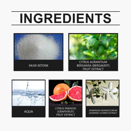 Summer Bergamot Musk Perfume