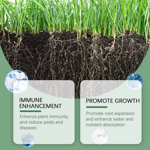 Rooting & Seedling Powder