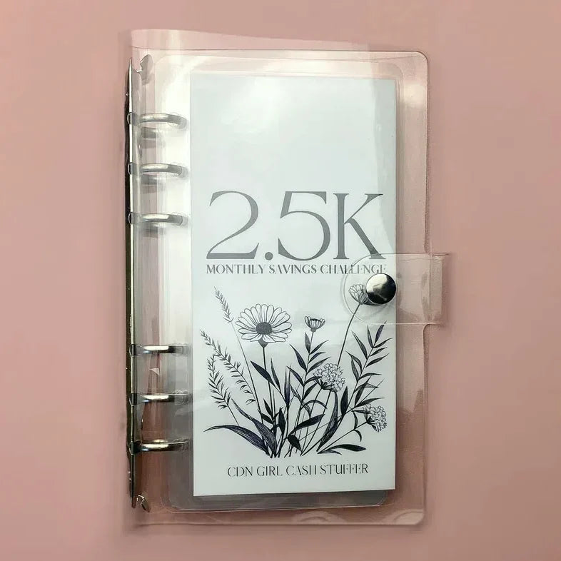12-Month Envelopes Money-Saving Challenge Binder | zavevo