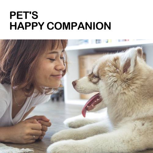 Pet Massage Oil