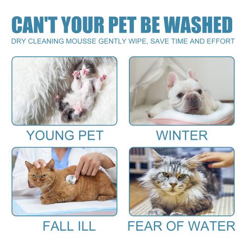 Pet Dry Cleaning Mousse