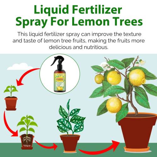 Lemon Tree Liquid Fertilizer Spray