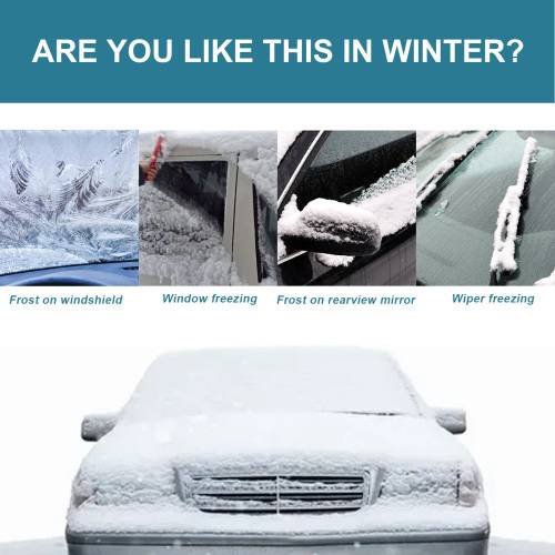 Windshield De-Icer & Anti-Ice Spray