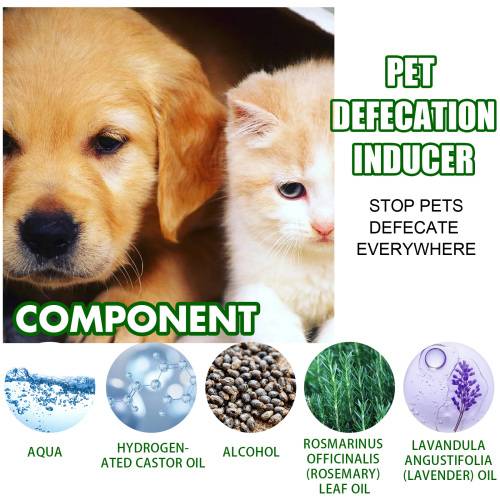 Pet Potty Training Aid