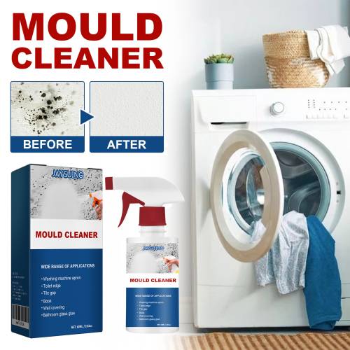 Mold & Mildew Stain Spray
