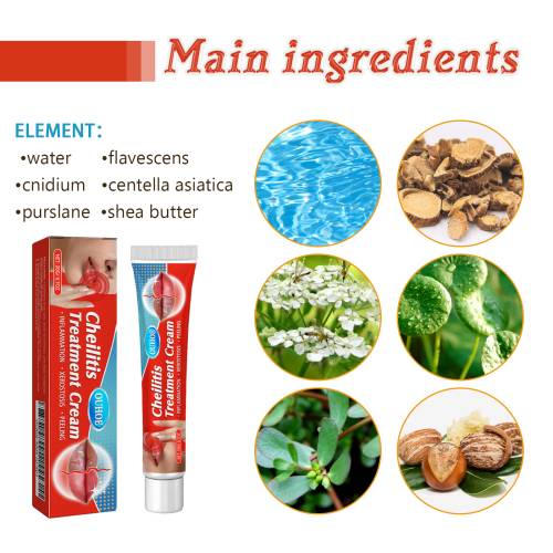Lip Care Cream with Centella & Shea Butter