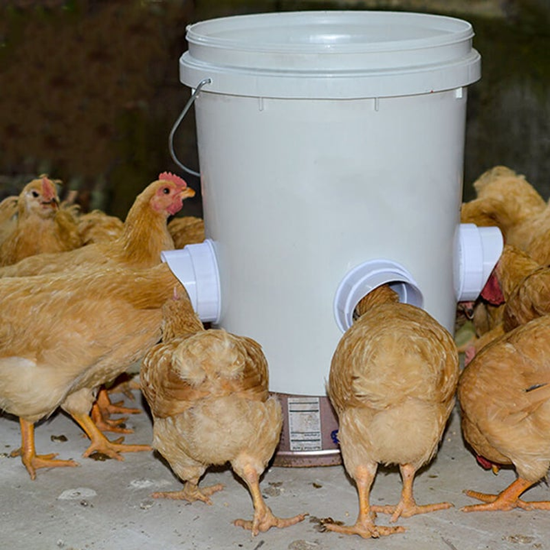 | DIY Chicken Feeder