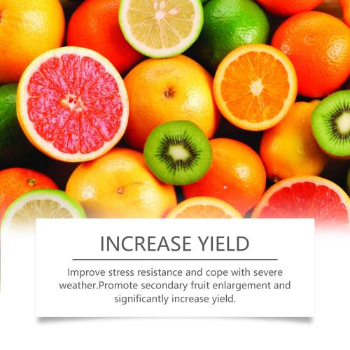 Fruit & Vegetable Growth Powder