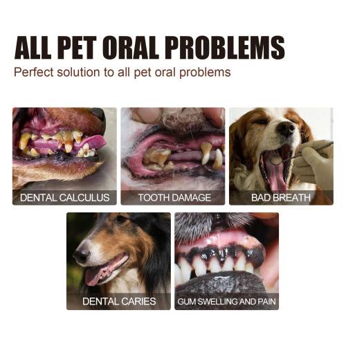 Pet Tooth Cleaning Spray