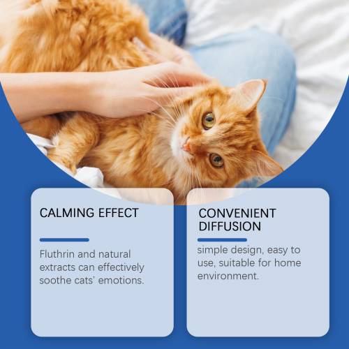 Cat Diffuser Set