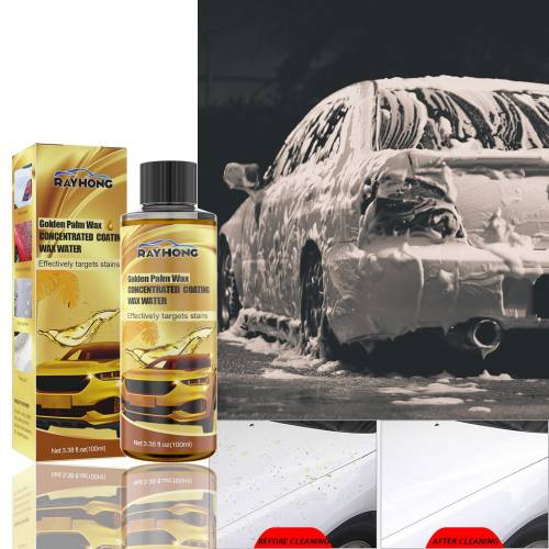 Carnauba Wash & Wax