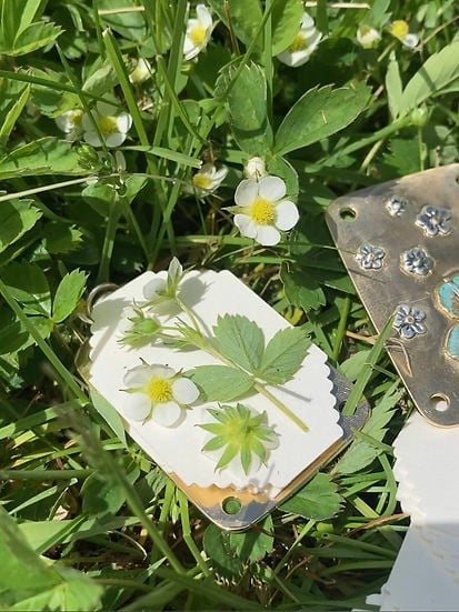 zavevo | Mini Flower Press | Compact Botanical Keepsake Maker | Portable Craft Tool
