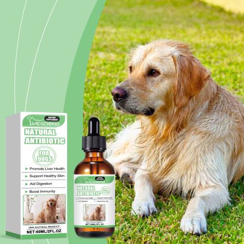Dog Skin & Digestion Supplement Drops