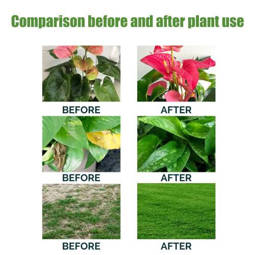 Slow-Release Plant Nutrient Solution