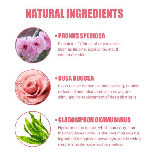 Plum Rose Women's Lotion