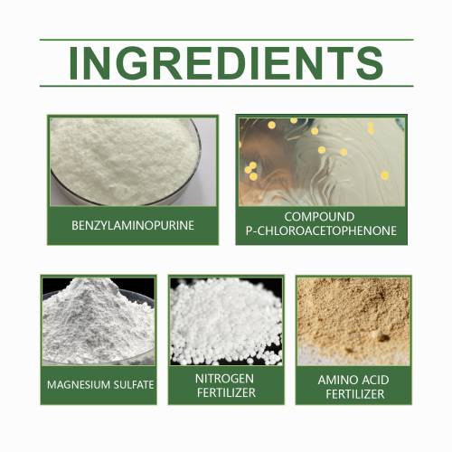Concentrated Plant Growth Spray
