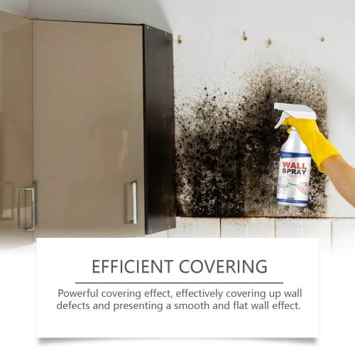 Wall Touch-Up Spray Paint