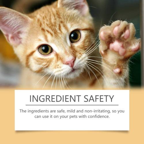 Pet Paw Care Stick
