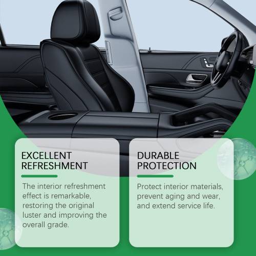 Interior Restorer & Protectant