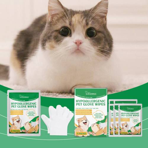 Pet Disposable Cleaning Gloves