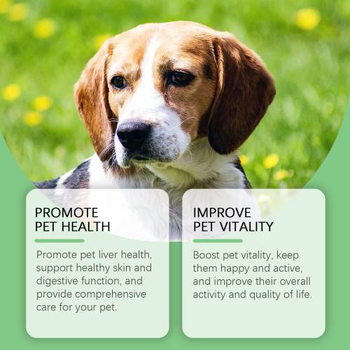 Dog Skin & Digestion Supplement Drops
