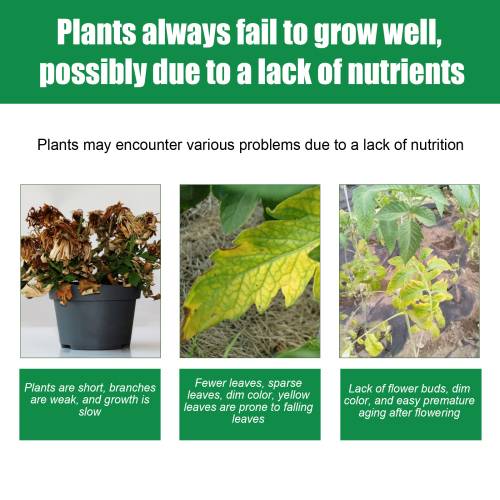 Slow-Release Plant Growth Tablets