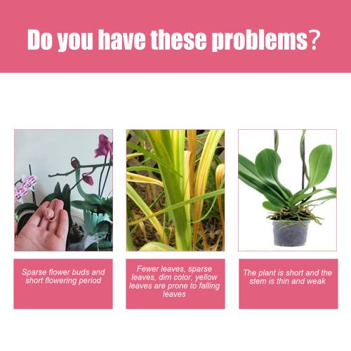 Orchid 3-1-2 Liquid Fertilizer