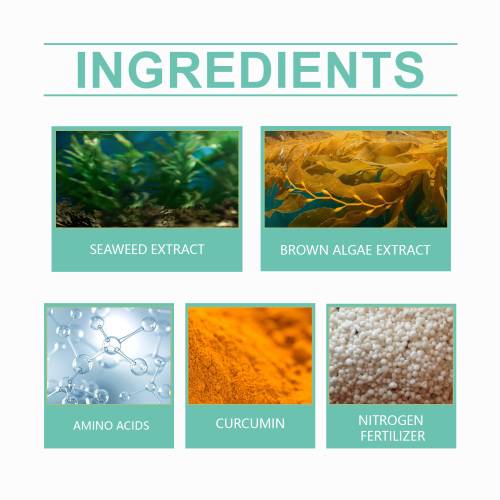 Universal Slow-Release Fertilizer Tablets