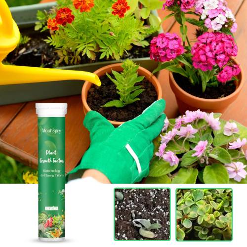 Slow-Release Plant Growth Tablets