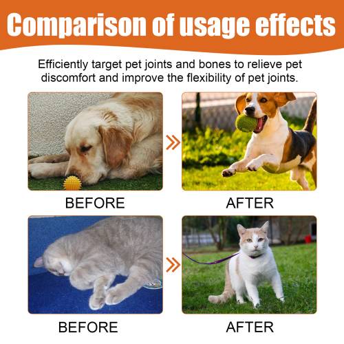 Pet Joint Massage Oil