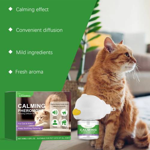 Cat Calming Set