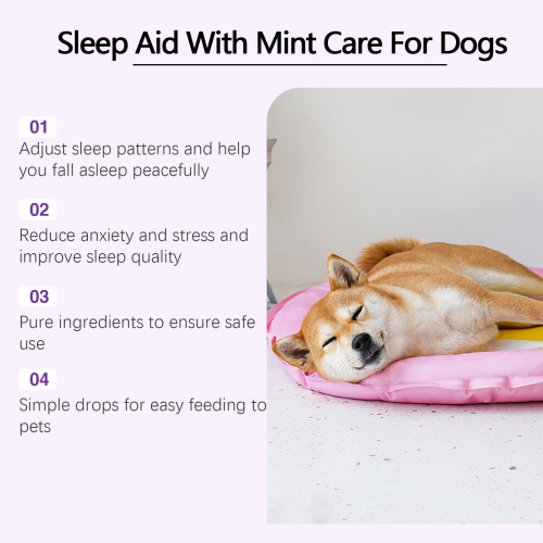 Dog Nighttime Drops