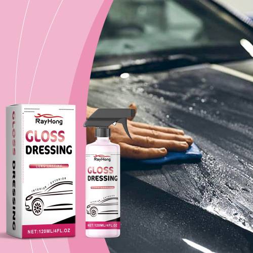 Paint Gloss Spray