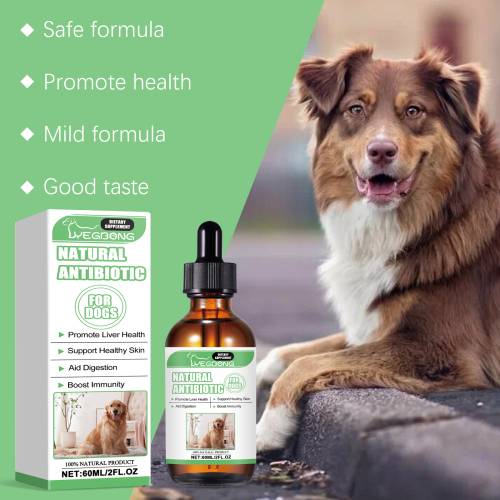Dog Skin & Digestion Supplement Drops