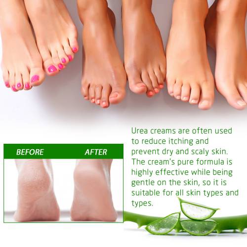 Aloe Safflower Foot Cream
