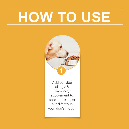 Dog Nutrition Drops with Mint