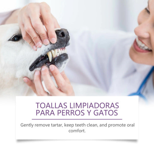 Pet Tooth Cleaning Finger Wipes