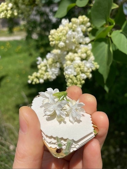 zavevo | Mini Flower Press | Compact Botanical Keepsake Maker | Portable Craft Tool