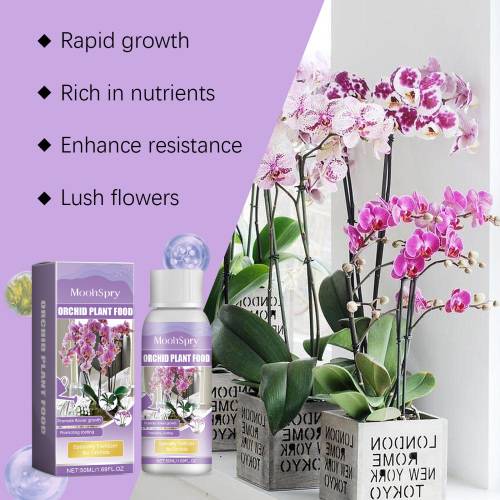Orchid Seaweed Nutrient Solution