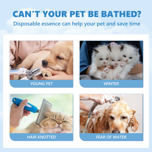 Pet Leave-In Coat Serum Set