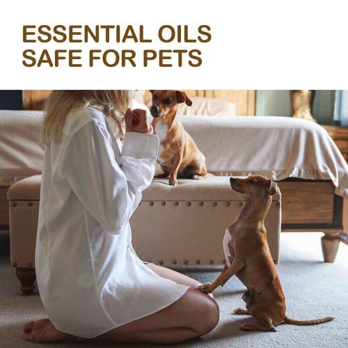 Pet Massage Oil