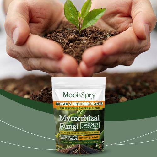 Organic Root Enhancer Powder