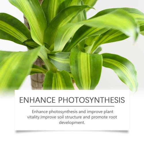 Green Plant Nutrient Solution