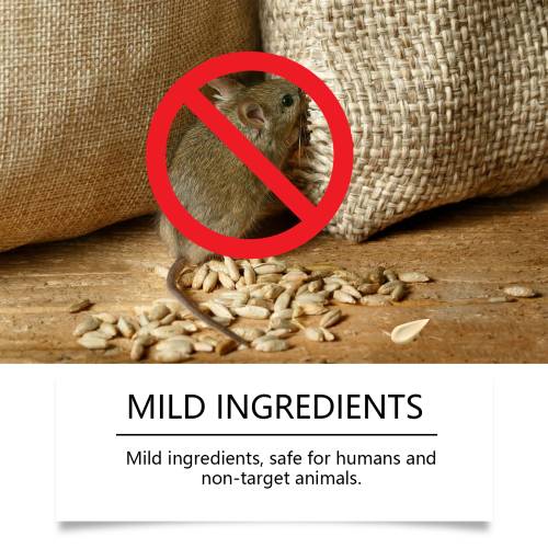 Peppermint Clove Spray